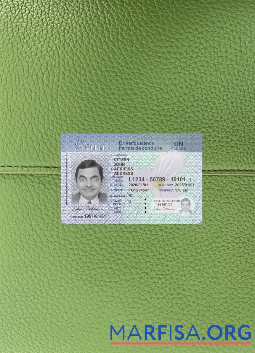 Downloadable Canada Ontario DL (2018 – present) version 2 photolook sample